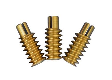 Brass Cnc Worm Gear 120mm Length 1 Lead 0.5 Module For Gear Motor  ISO/ 7